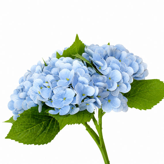 RTB101 Real Touch Hydrangea Bundle 14" PK 12
