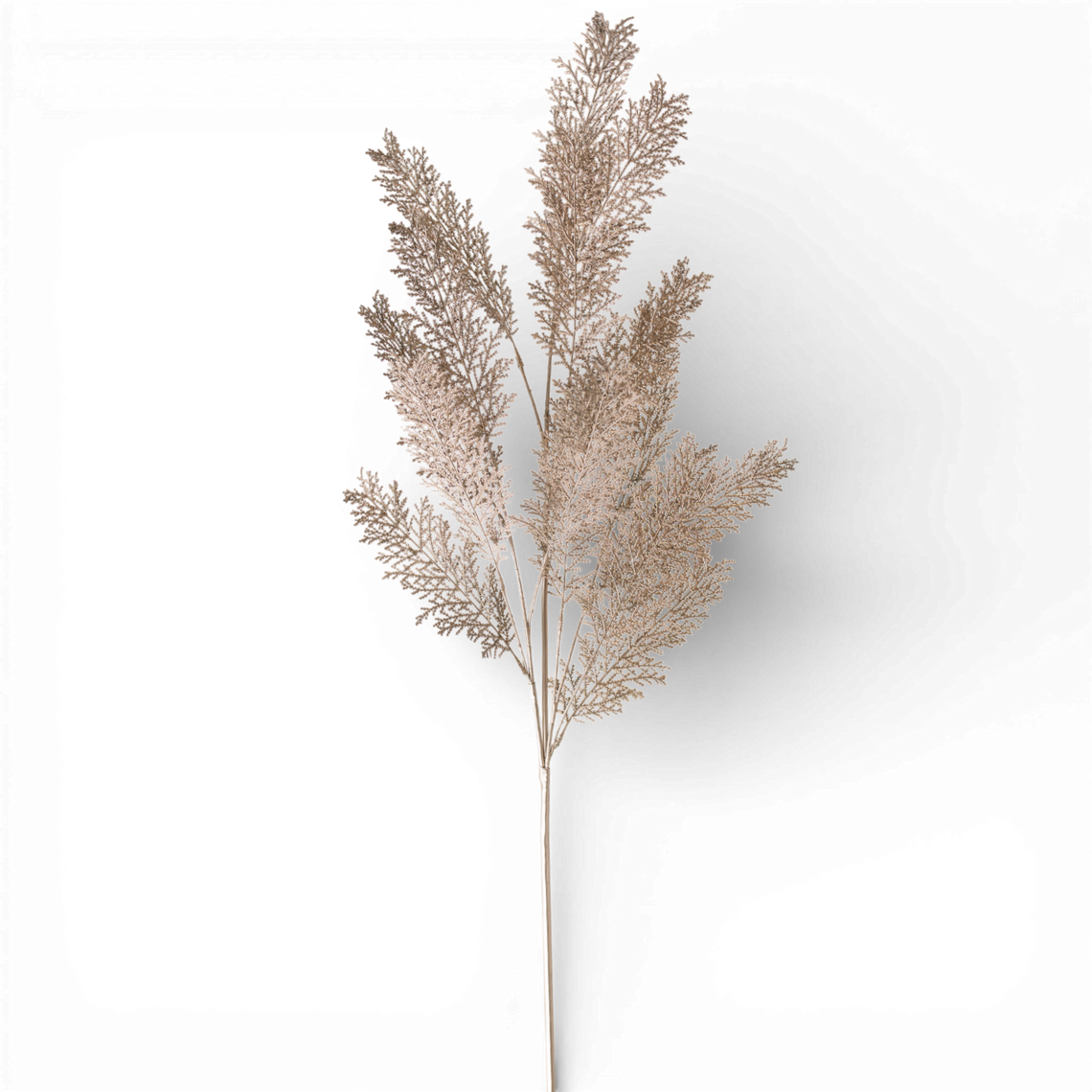 SP107 Fern Spray 46" PK12