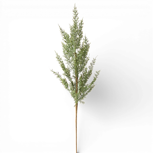 SP119 Cypress Pine Spray 24" PK24