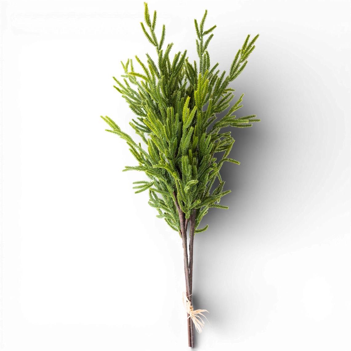 SP121 Real Touch Araucaria Spray Bundle 44" PK6