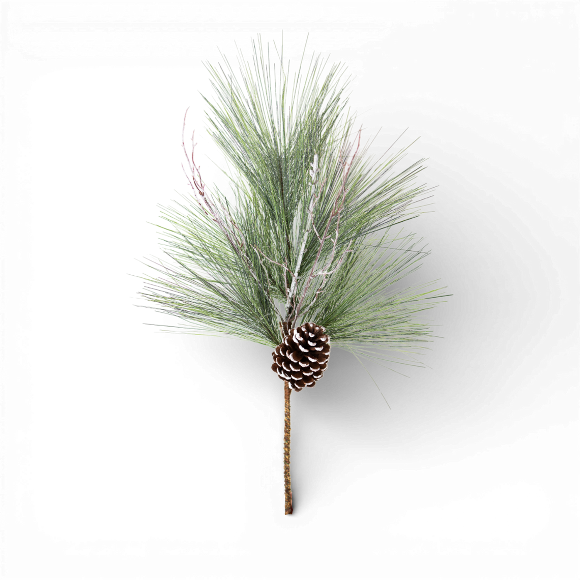 SP138 Pine Spray 29"  PK6