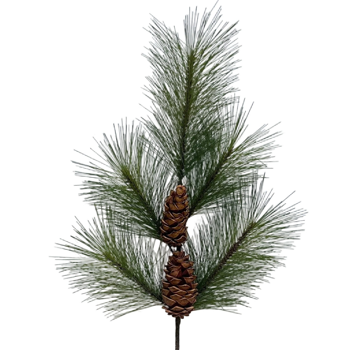 SP140 Pine Spray 40" PK6