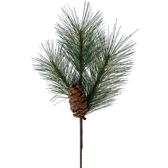 SP141 Pine Spray 27" PK12