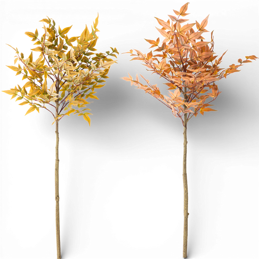 SP143 Heavenly Bamboo, 48" PK12