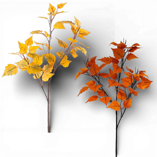 SP144 Birch Stem, 38" PK24