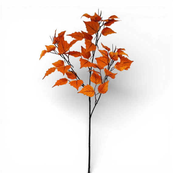 SP144 Birch Stem, 38" PK24