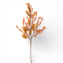 SP145 Berry Stem 12" x 2" x 30.5", (Set of 3) PK4