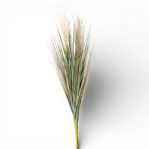 SP148 Reed/Onion Grass Spray 30" PK12