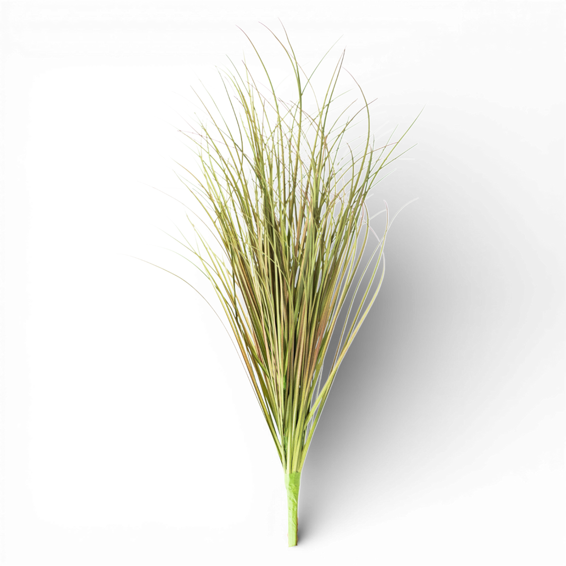SP150 Onion Grass Spray 26.5" PK6