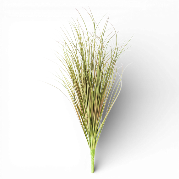 SP150 Onion Grass Spray 26.5" PK6