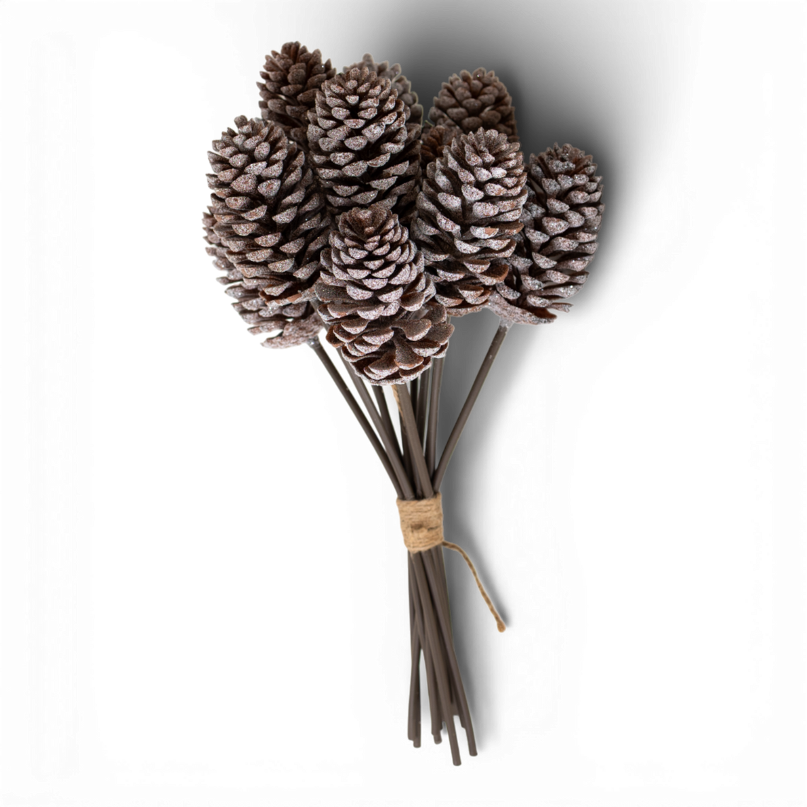 ST101 Pinecone Bundle 15.25" PK6