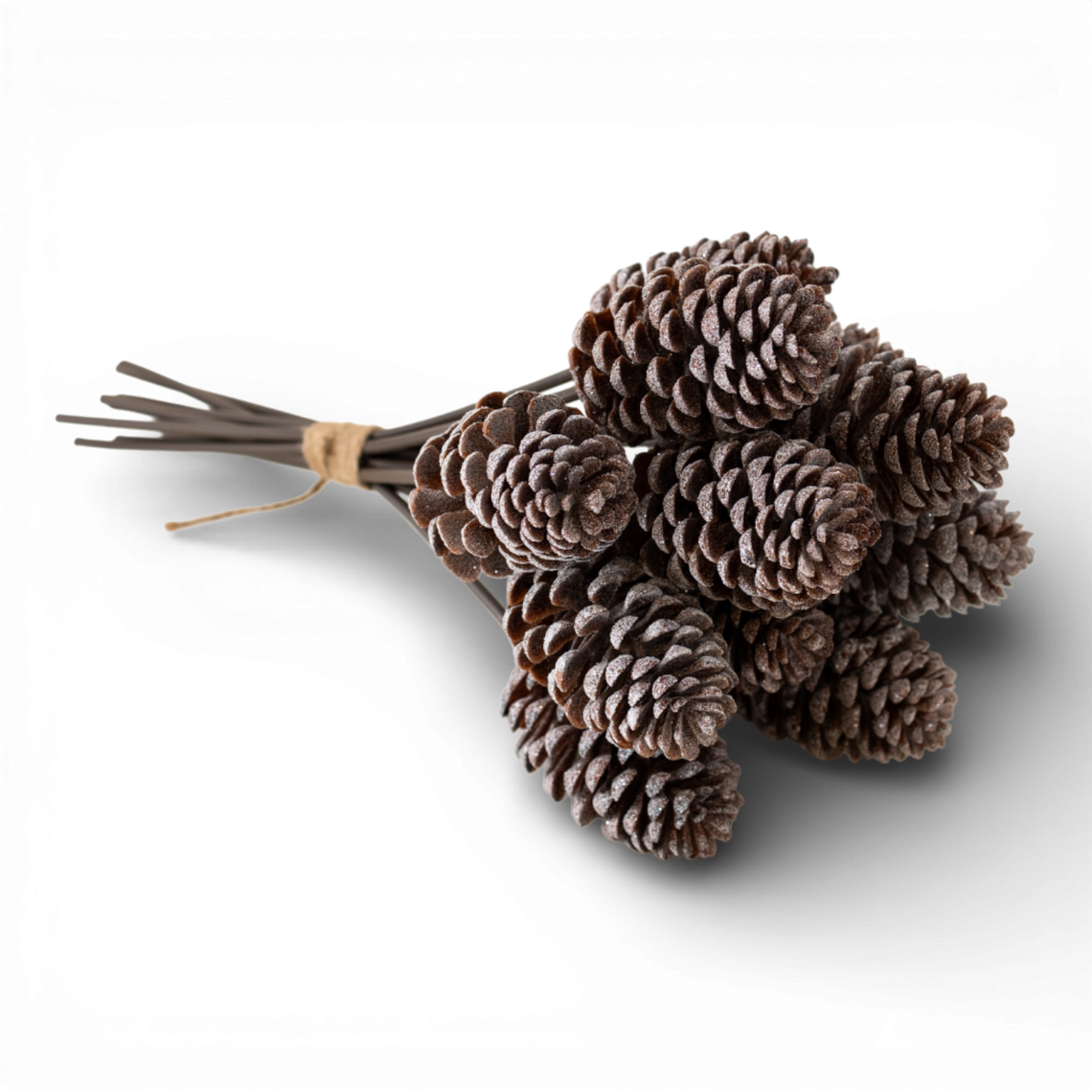 ST101 Pinecone Bundle 15.25" PK6
