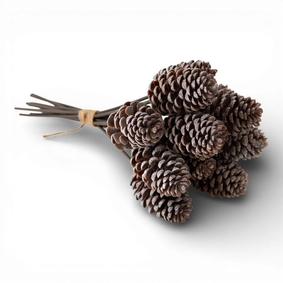 ST101 Pinecone Bundle 15.25" PK6