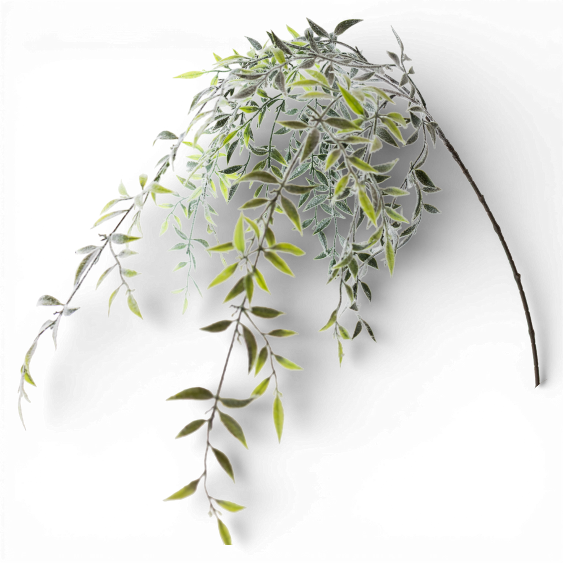 ST110 Snowy Ruckus Spray 19" x 2" x 45" PK12