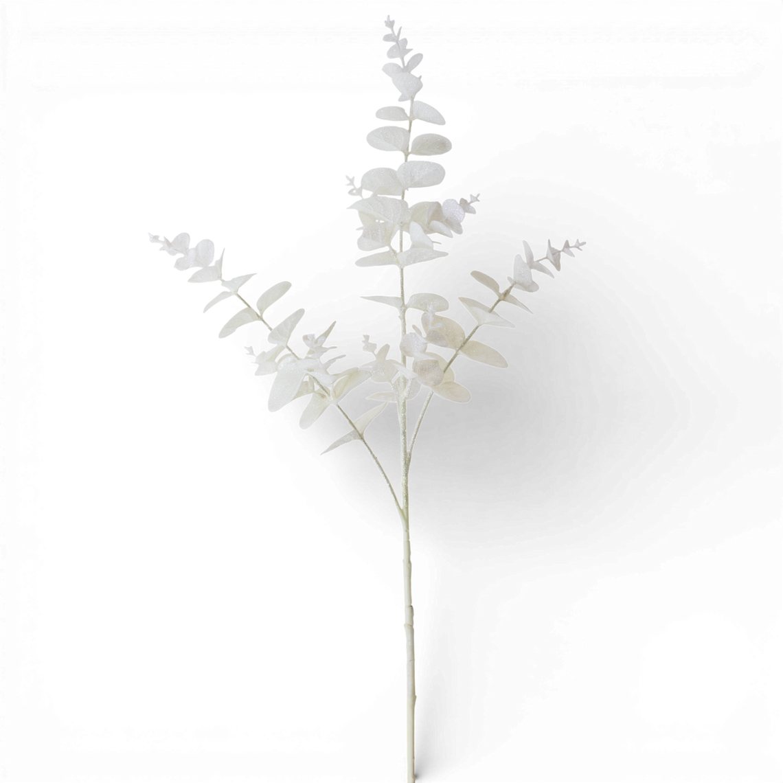 ST116 Money Leaves Spray, 31" PK12