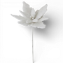 ST133 Poinsettia Stem White 18" PK12