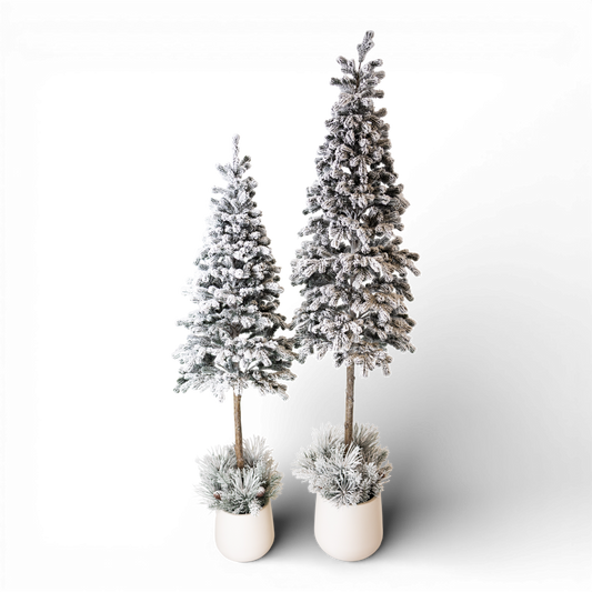 TR109 Potted Pine Tree 5' & 6' (Set of 2) PK2