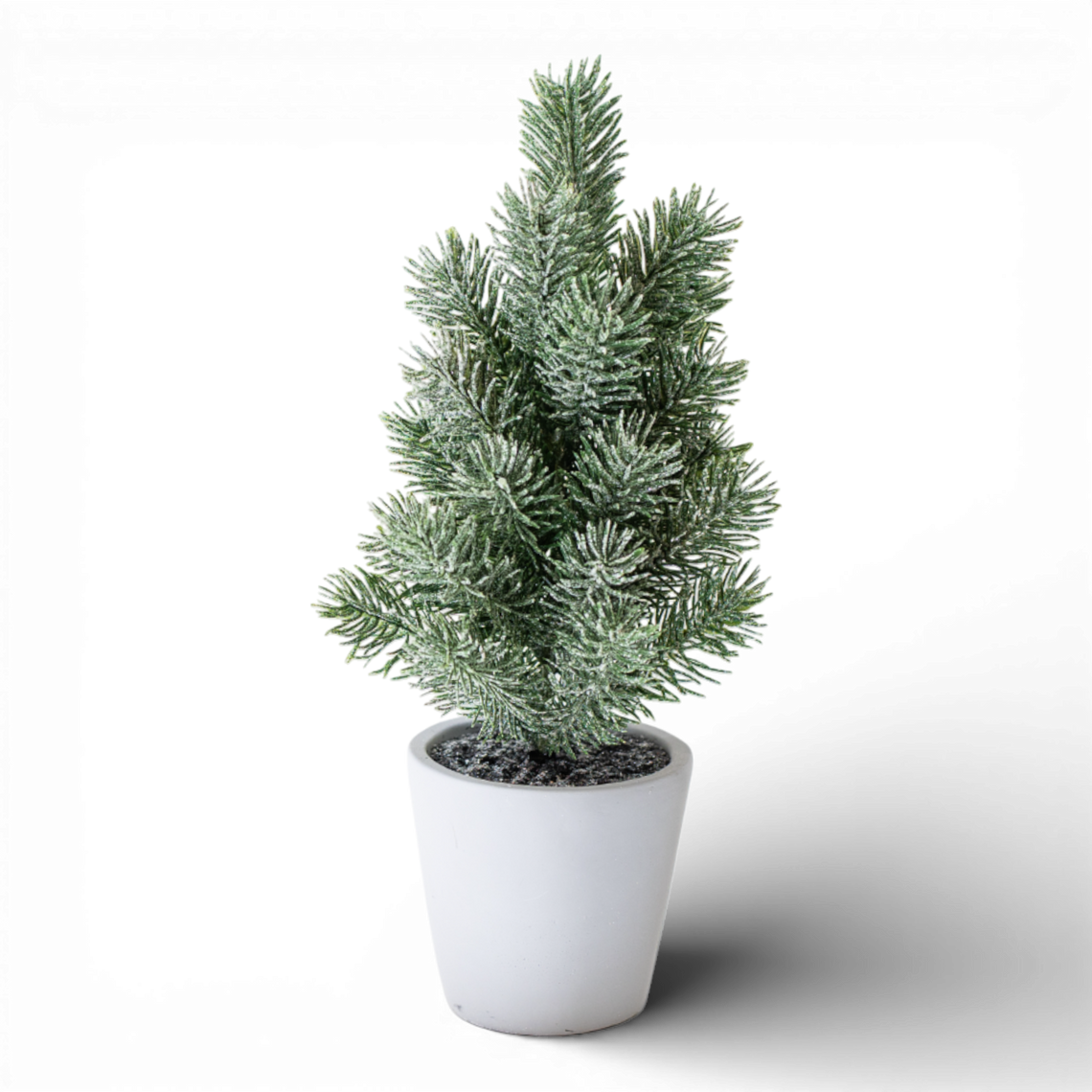 TR113 Potted Frosted Pine Tree 13" PK6