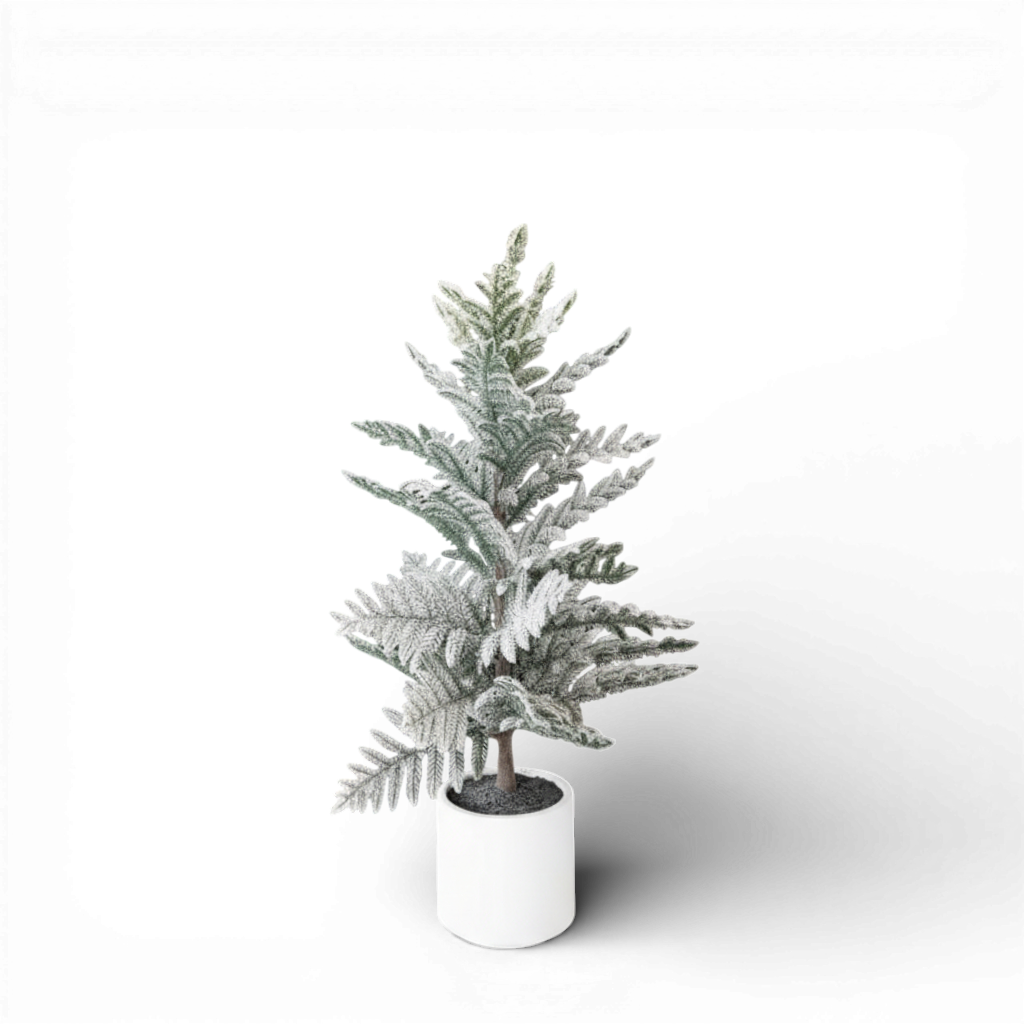 TR114 Potted Araucaria Pine Tree 30" PK2