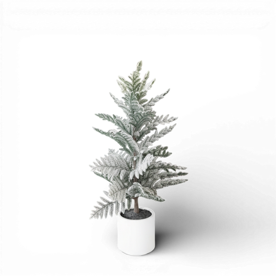 TR114 Potted Araucaria Pine Tree 30" PK2