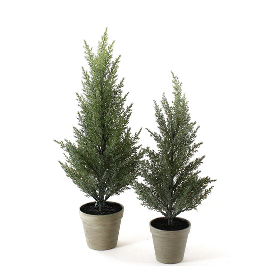 TR116 Potted Mini Cedar Trees 7" x 7" x 20" &  10" x 10" x 24.5" (Set of 2) PK2