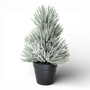 TR124 Potted Flocked Pine 9" PK8