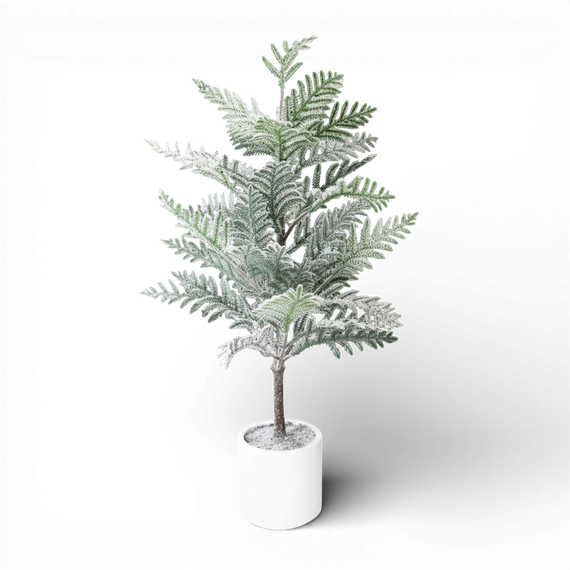TR125 Potted Flocked Araucaria Pine 40" PK2