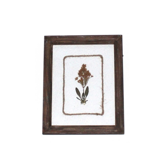 WA108 Botanical Flower Wall Art - Pressed Flower Stem 8" x 1" x 10"