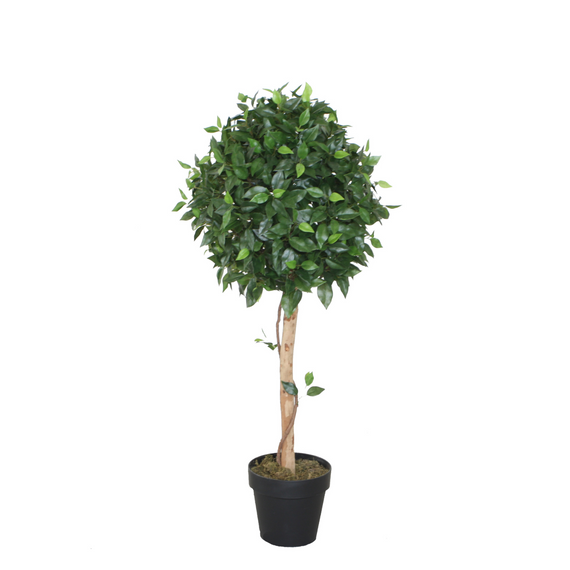 PTT111 Ficus Topiary/Wood Trunk 3.5'