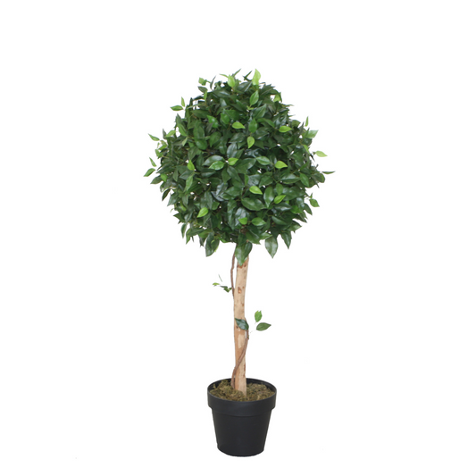 PTT111 Ficus Topiary/Wood Trunk 3.5'