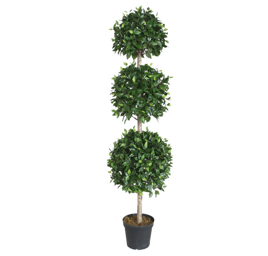 PTT112 Ficus Triple Topiary w/Wood Trunk 6'