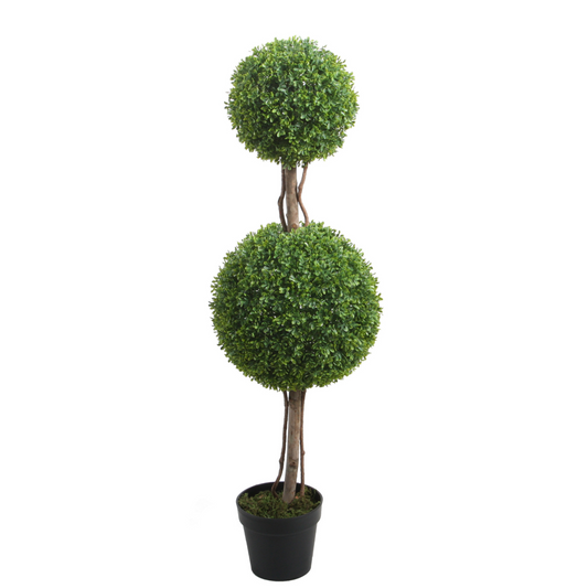 PTT125 Boxwood Double Topiary 4'