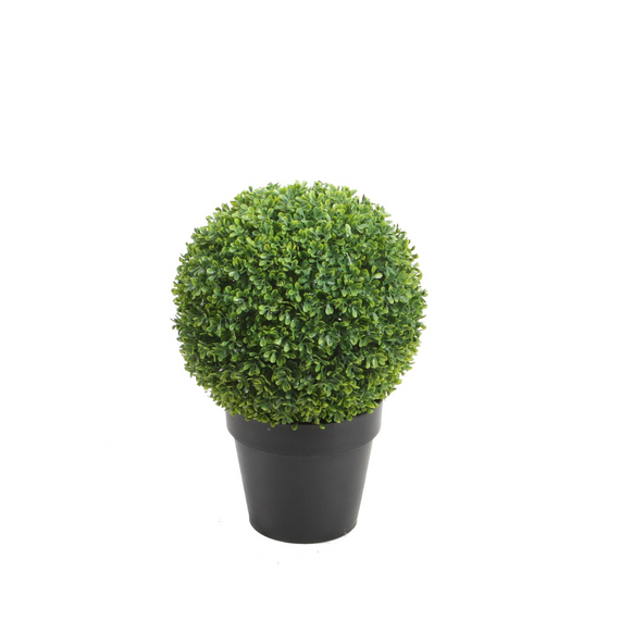PTT124 Boxwood Single Ball 1.5'