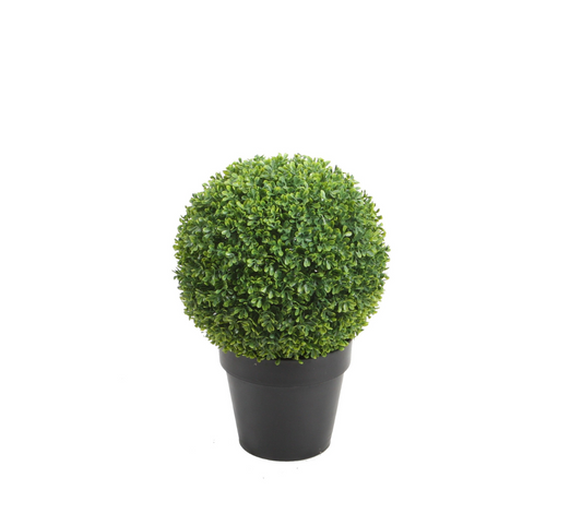 PTT124 Boxwood Single Ball 1.5'
