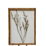 WA100 Botanical Wall Art - Pressed Grass 11" x 1" x 15" PK 2