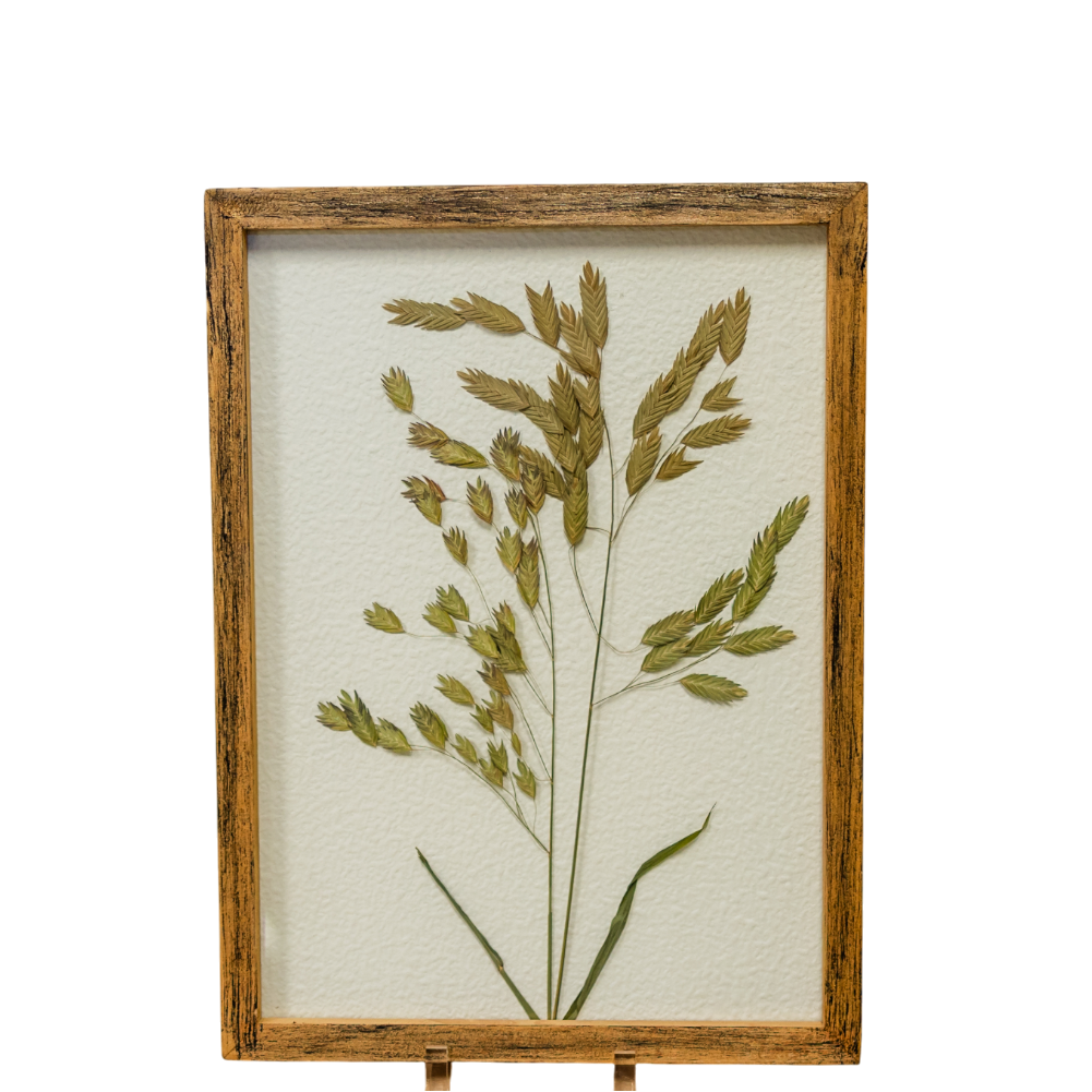 WA101 Botanical Wall Art - Pressed Greenery 11.25" x 1" x 15.25" PK 2