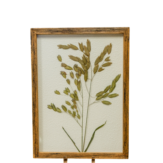 WA101 Botanical Wall Art - Pressed Greenery 11.25" x 1" x 15.25" PK 2