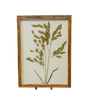 WA101 Botanical Wall Art - Pressed Greenery 11.25" x 1" x 15.25" PK 2