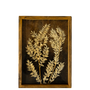WA102 Botanical Wall Art - Black/Brown 11" x 1" x 15" PK 2