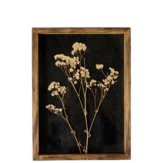 WA103 Botanical Wall Art - Delicate Pressed Flowers 11" x 1" x 15" PK2