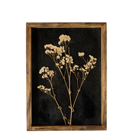 WA103 Botanical Wall Art - Delicate Pressed Flowers 11" x 1" x 15" PK2