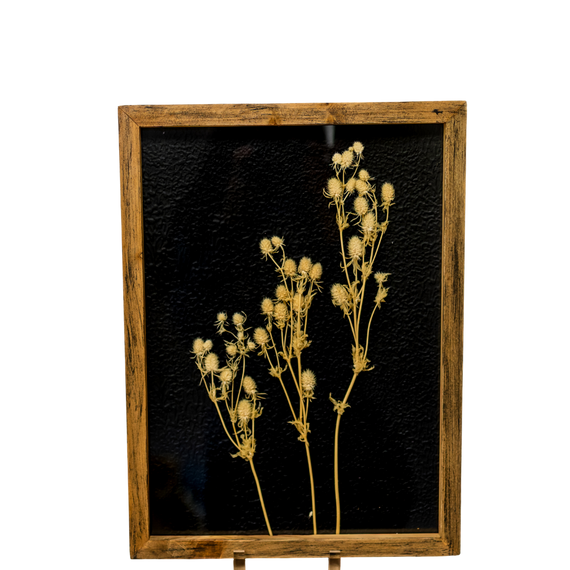 WA104 Botanical Wall Art - Pressed White Buds 11" x 1" x 15" PK 2