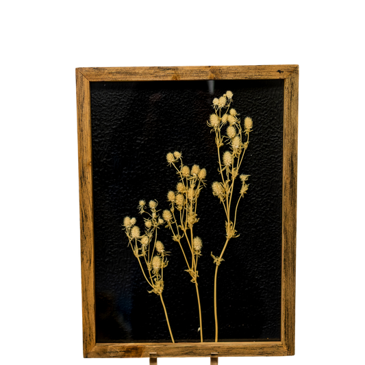 WA104 Botanical Wall Art - Pressed White Buds 11" x 1" x 15" PK 2