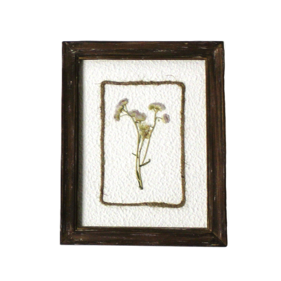 WA107 Botanical Flower Wall Art - Delicate Press Flower- Purple 8" x 1" x 10" PK 3