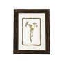 WA107 Botanical Flower Wall Art - Delicate Press Flower- Purple 8" x 1" x 10" PK 3
