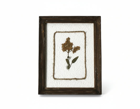WA108 Botanical Flower Wall Art - Pressed Flower Stem 8" x 1" x 10" PK 3