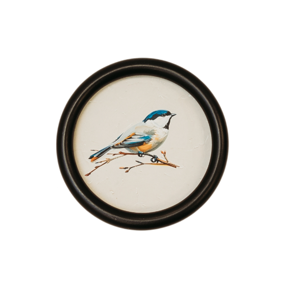 WA113 Bird Wall Art - Songbird Gray 5.75" x .75" x 5.75" PK 6