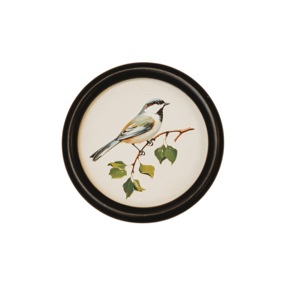 WA114 Bird Wall Art - Small Songbird 5.75" x .75" x 5.75" PK 6