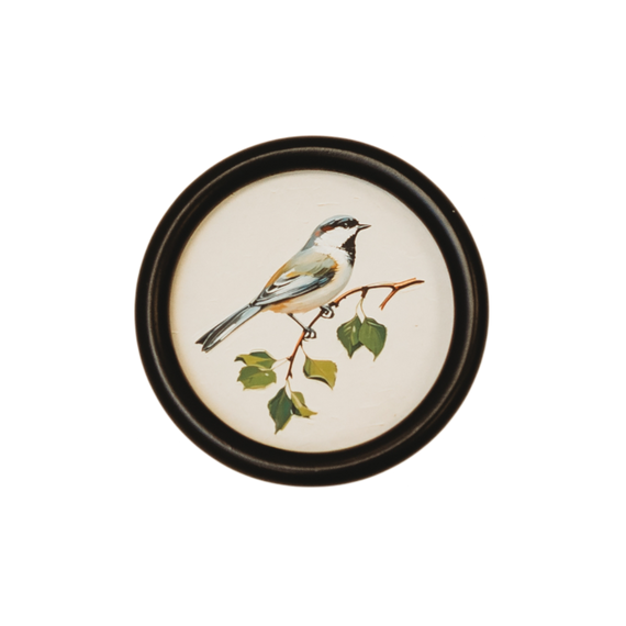 WA114 Bird Wall Art - Small Songbird 5.75" x .75" x 5.75" PK 6