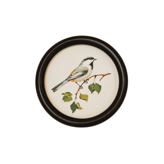 WA114 Bird Wall Art - Small Songbird 5.75" x .75" x 5.75" PK 6